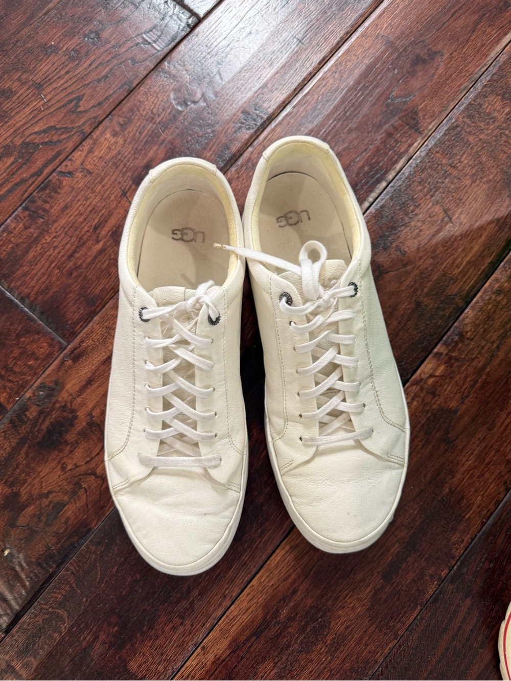 Men's Cream Low-Top Lace-Up Sneakers